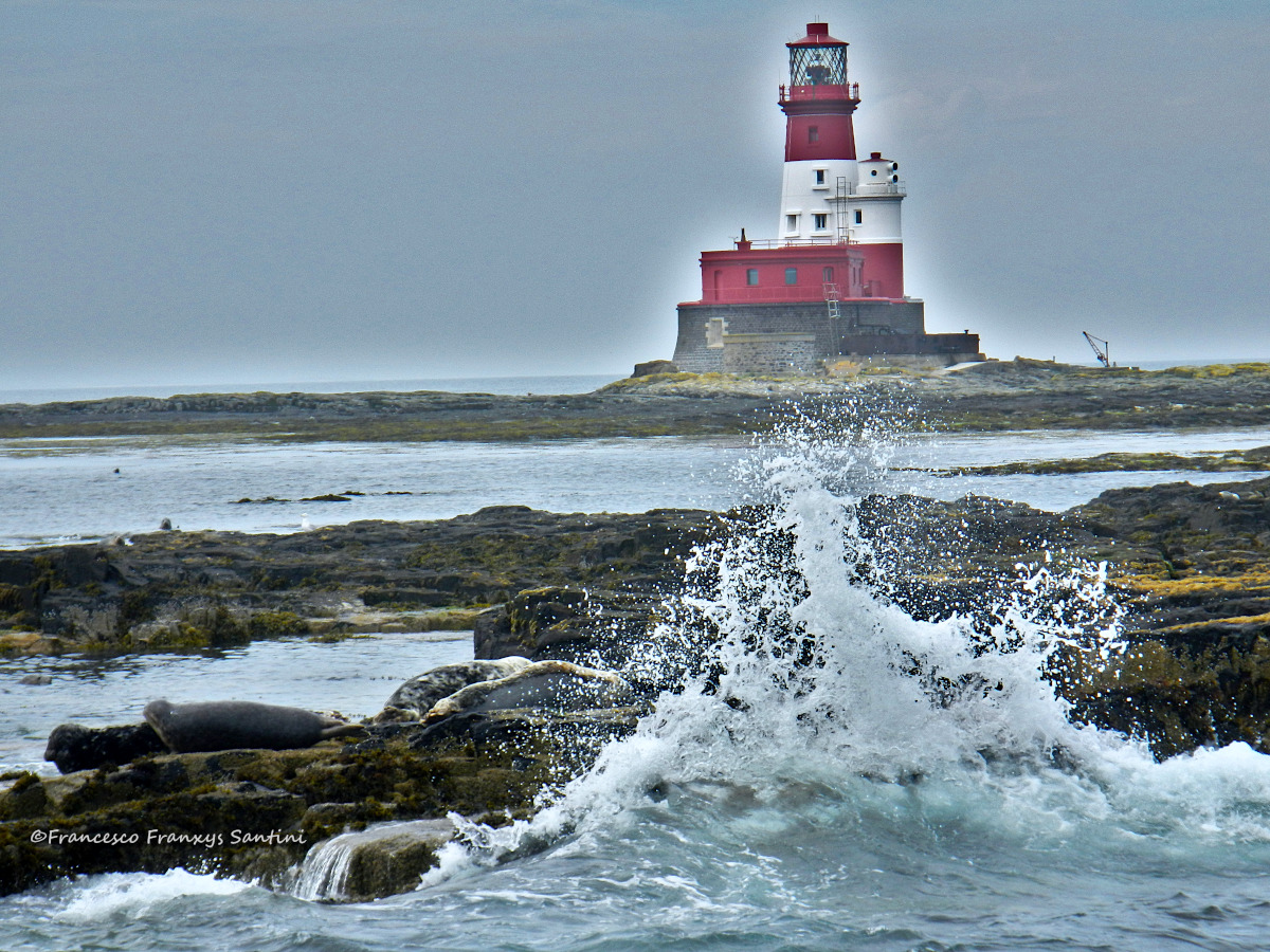 Scozia_Isole_Farne